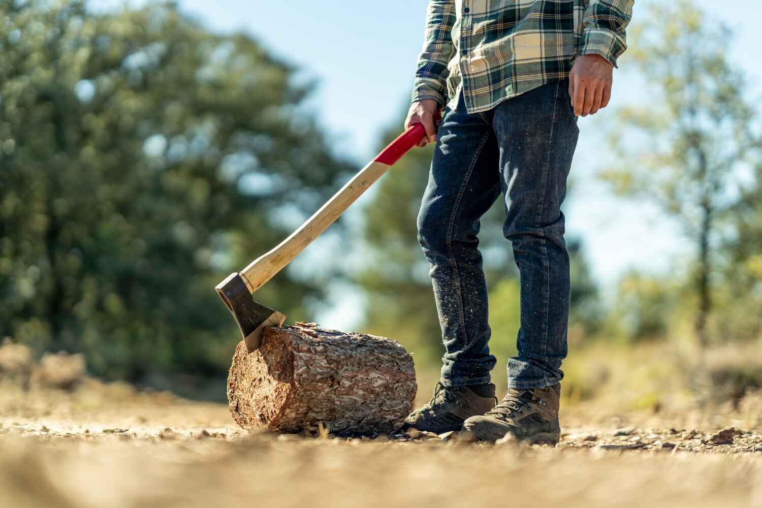 Hewitt, TX Tree Service Company